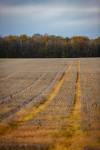 Christophe MIRABEL - Instantby