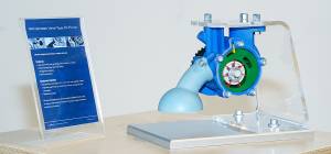 BIGNOLAIS PASCAL - STUDIO NOMADE EURL